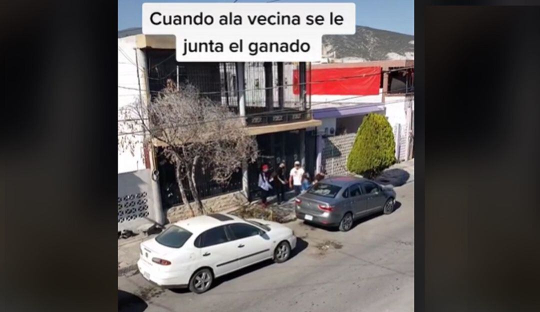 Se le juntó el ganado: 4 novios de mujer protagonizaron fuerte discusión