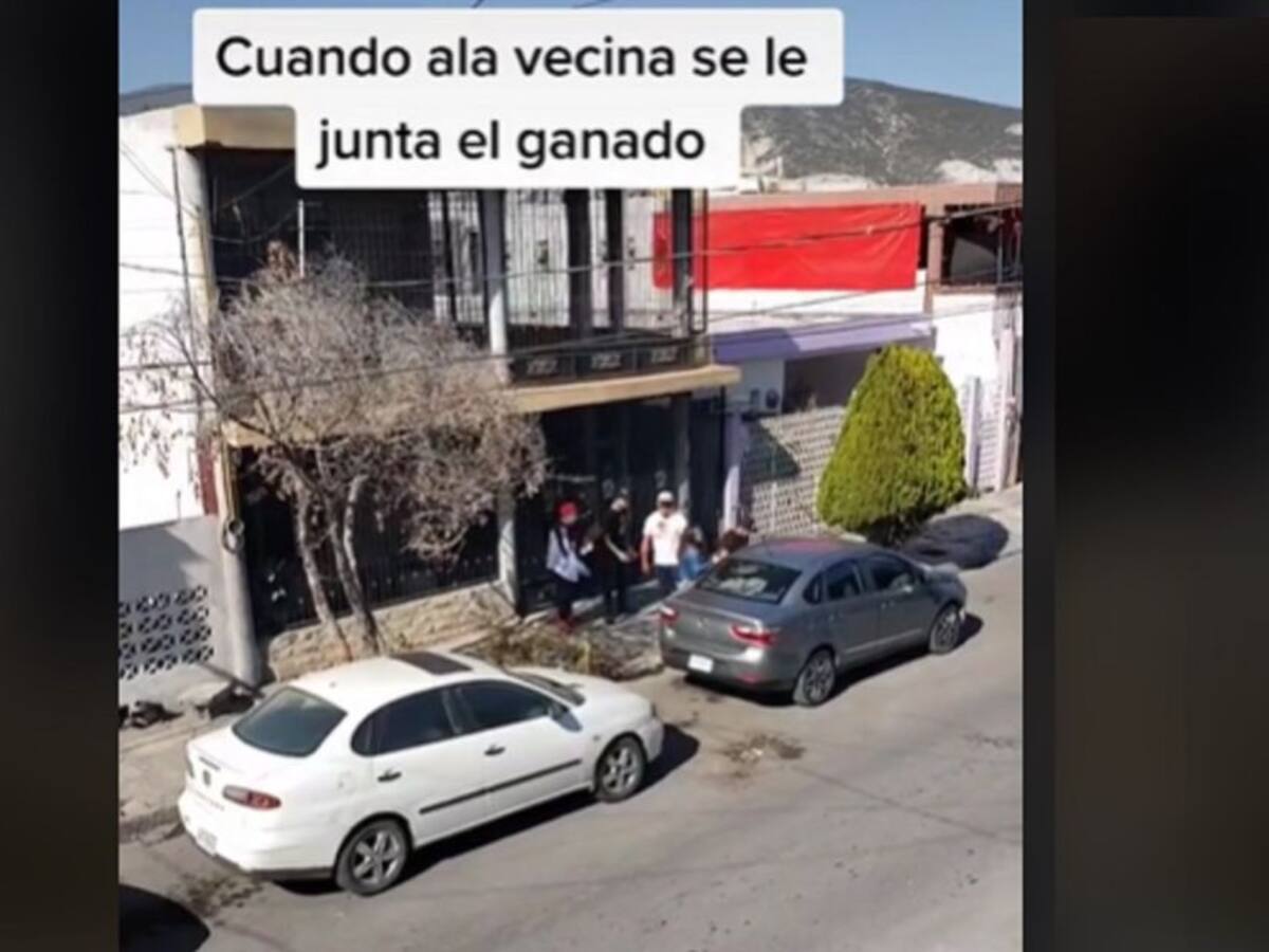 Se le juntó el ganado: 4 novios de mujer protagonizaron fuerte discusión