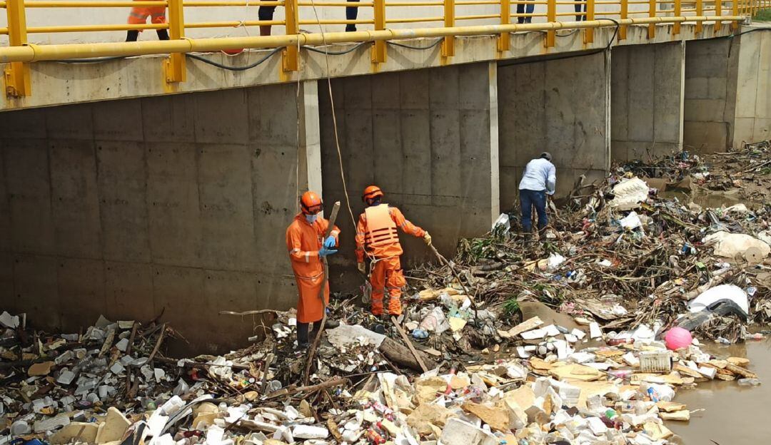 Organismos en labores de búsqueda del menor de 15 años