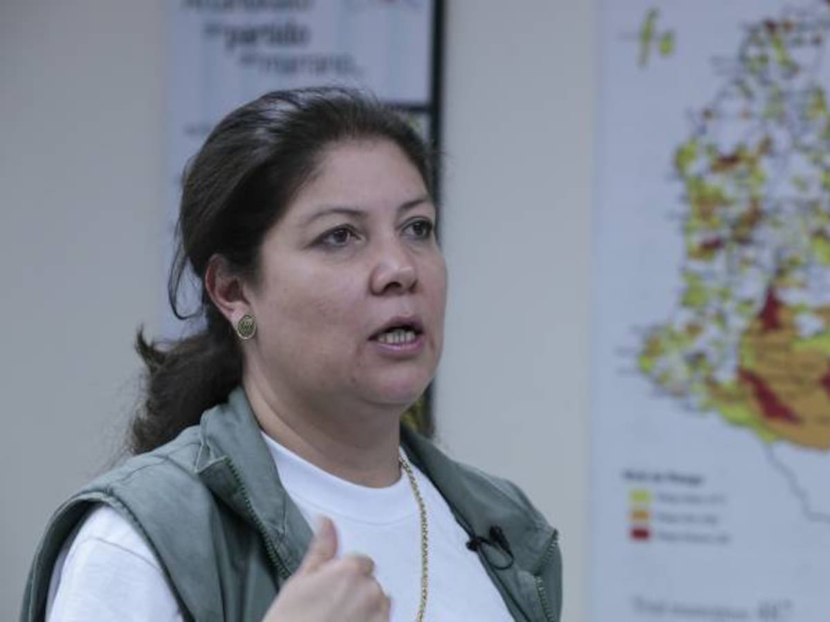 MOE advierte que en 82 municipios hay mas votantes que habitantes