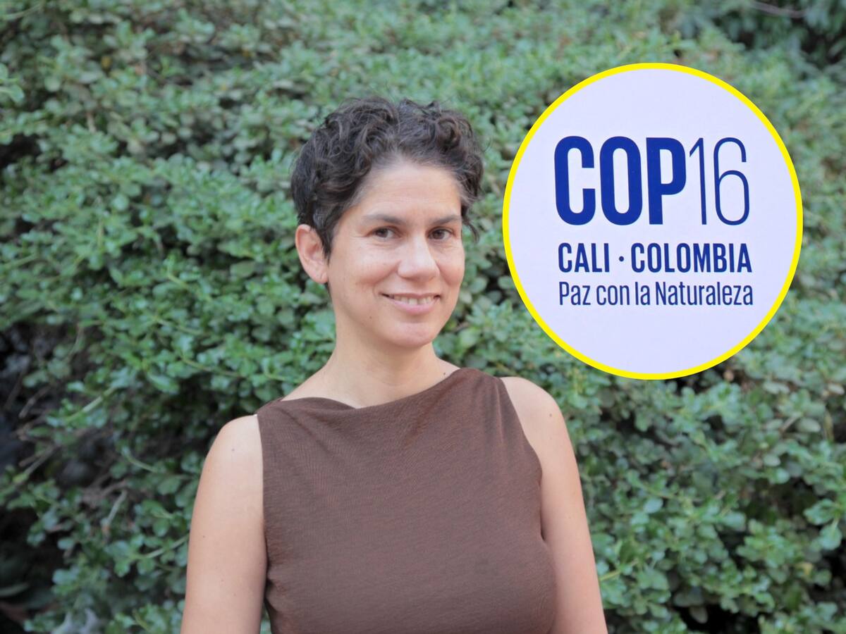 Ministra de Chile: “Colombia es un referente mundial en lucha contra cambio climático”