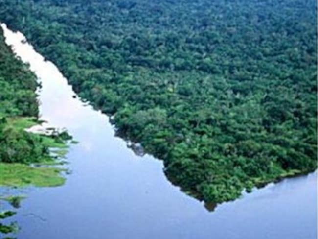 Maltrato al Bosque Tropical Amazónico