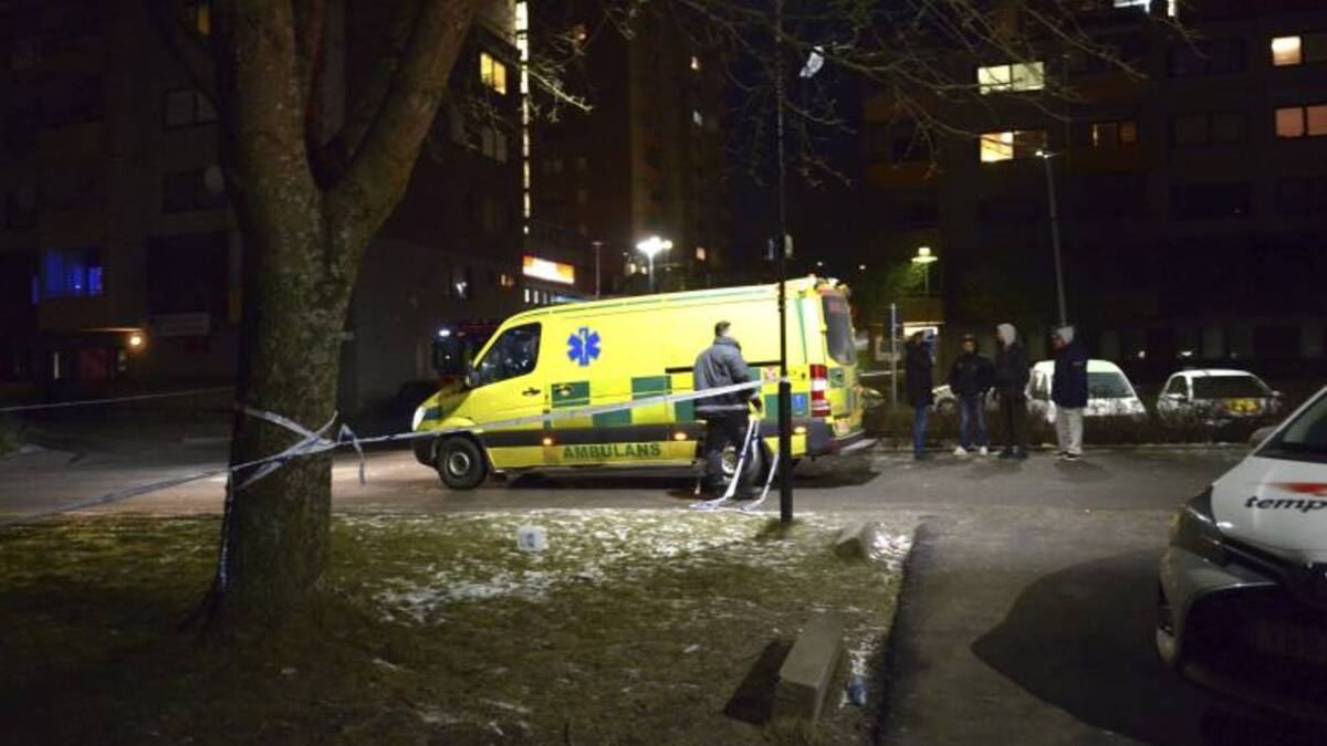 Un hombre mata al menos a seis personas en tiroteos al azar en EE UU