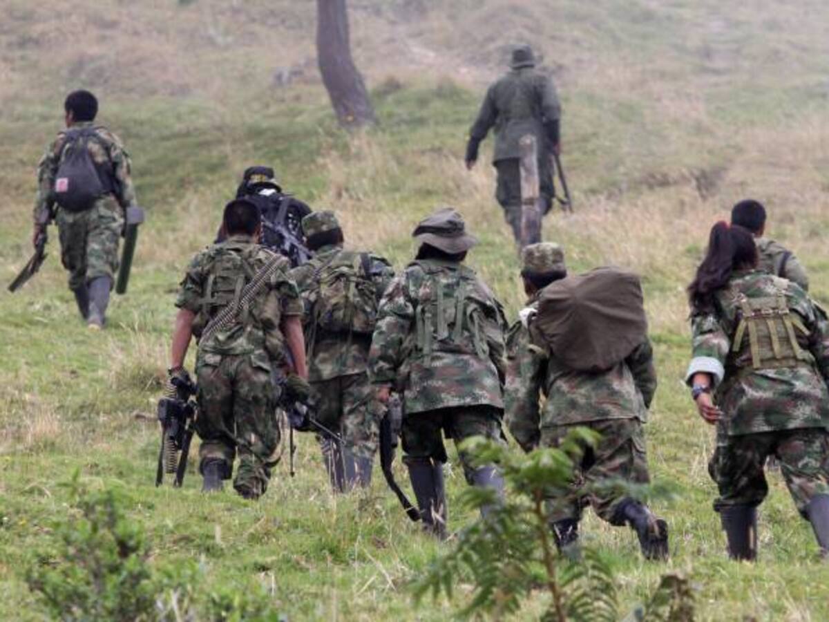 Farc deben viajar a explicar acuerdos a sus frentes para evitar contradicciones: Roy Barreras
