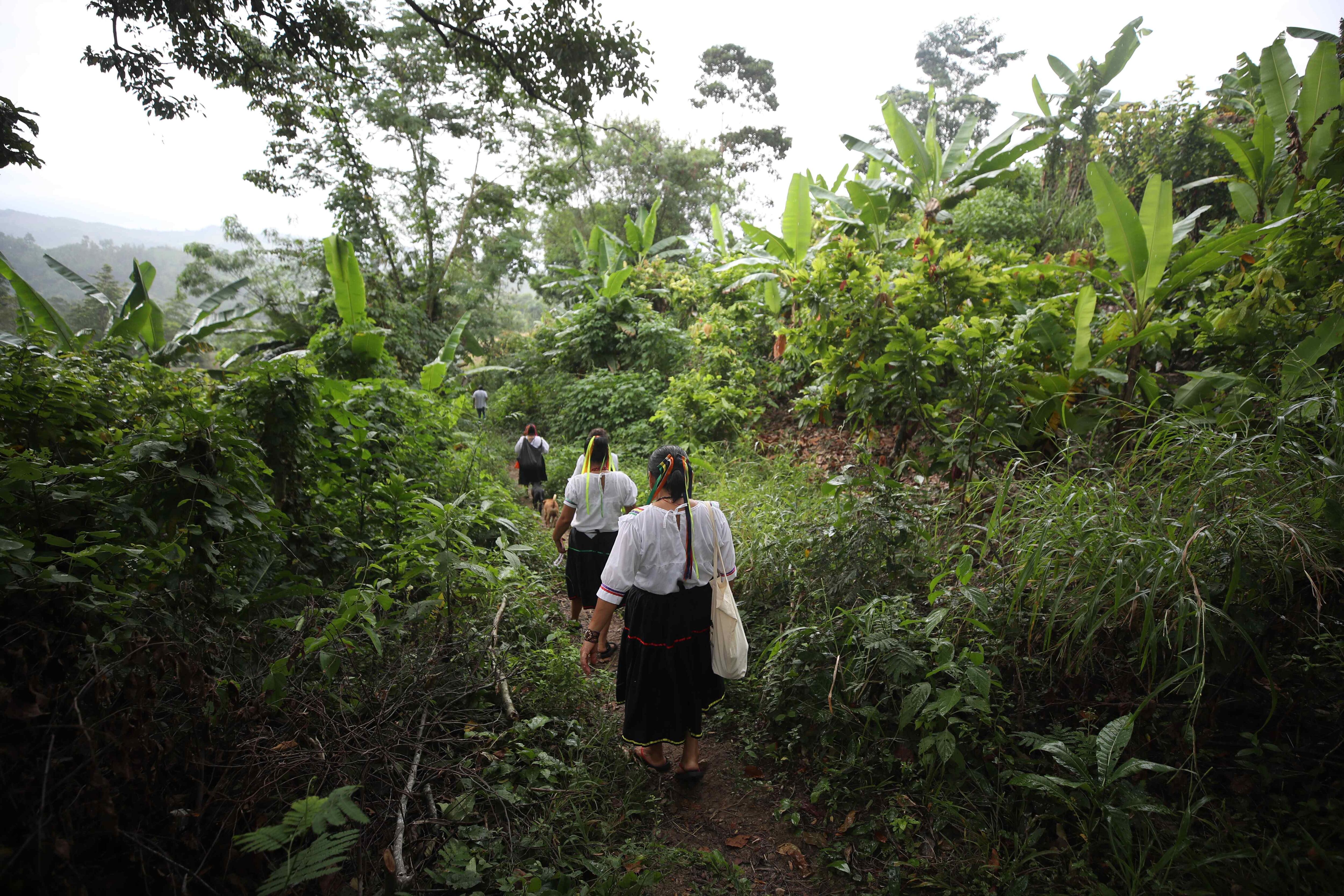 Productoras y productores rurales ya pueden inscribirse en el proyecto Alianzas Productivas