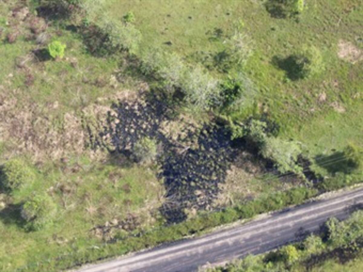Misión humanitaria evaluará daños por derrame de crudo en Putumayo