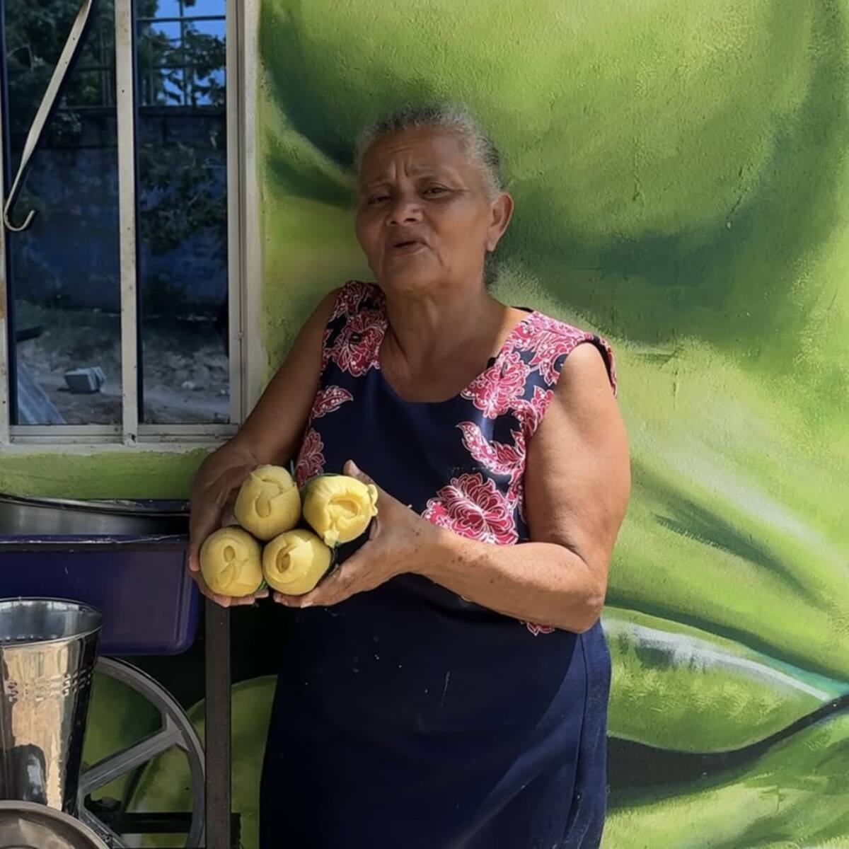 La historia de una de las beneficiarias de las viviendas entregadas en San Cristóbal, Bolívar