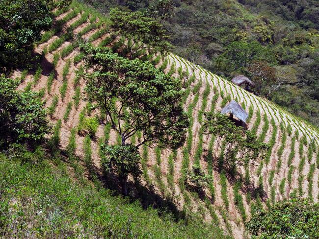 Imagen de referencia/ Getty Images