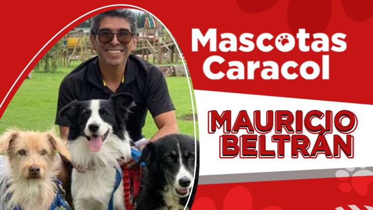 Escuche el programa Mascotas Caracol 07 de mayo