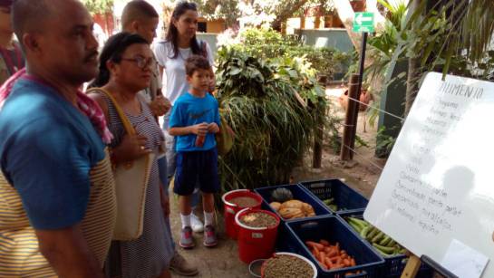 Familias conocen la dieta alimenticia del elefante