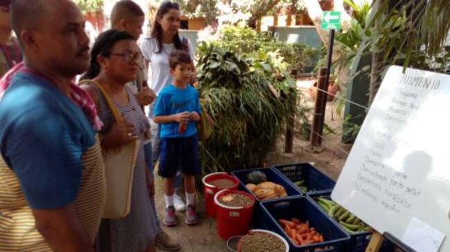 Familias conocen la dieta alimenticia del elefante