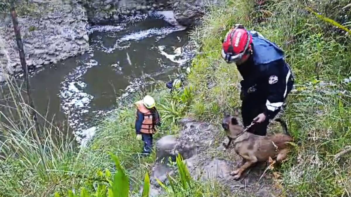 Sin vida fue hallado joven que intentando rescatar a su mascota cayó al río Guáitara