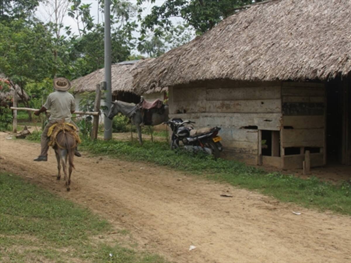 Comenzó estudio para implementar distrito de riego y drenaje en Urabá