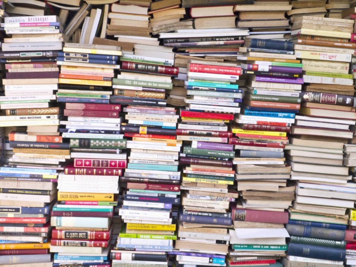 La Fundación Bella Amistad lidera campaña para recaudar libros