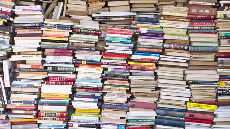 La Fundación Bella Amistad lidera campaña para recaudar libros