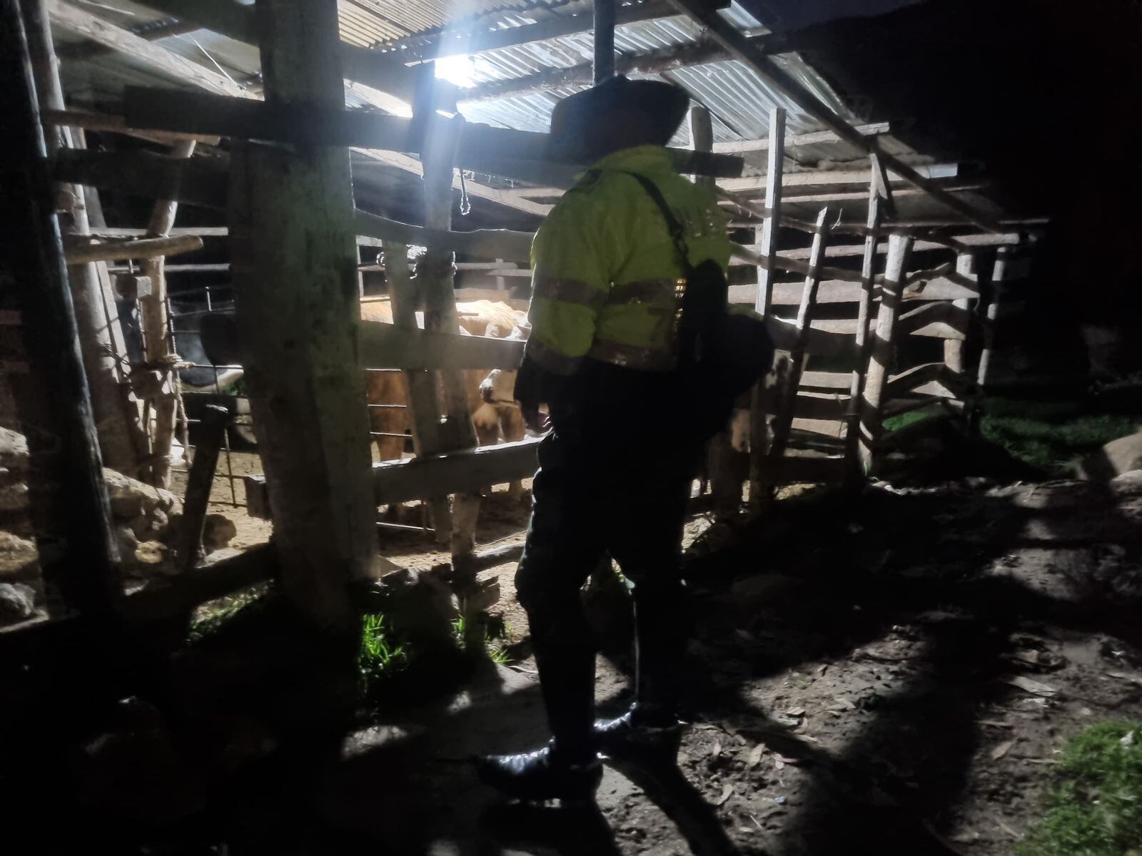 Matadero Ilegal en Usme.