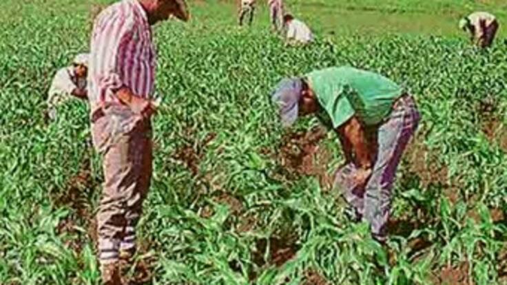 Presidente Santos pide celeridad al Congreso para trámite de ley de tierras