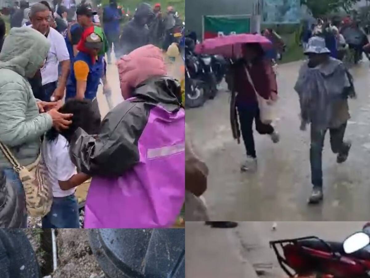 Más de 80 personas afectadas por ataque de abejas en el entierro de un líder indígena en Cauca