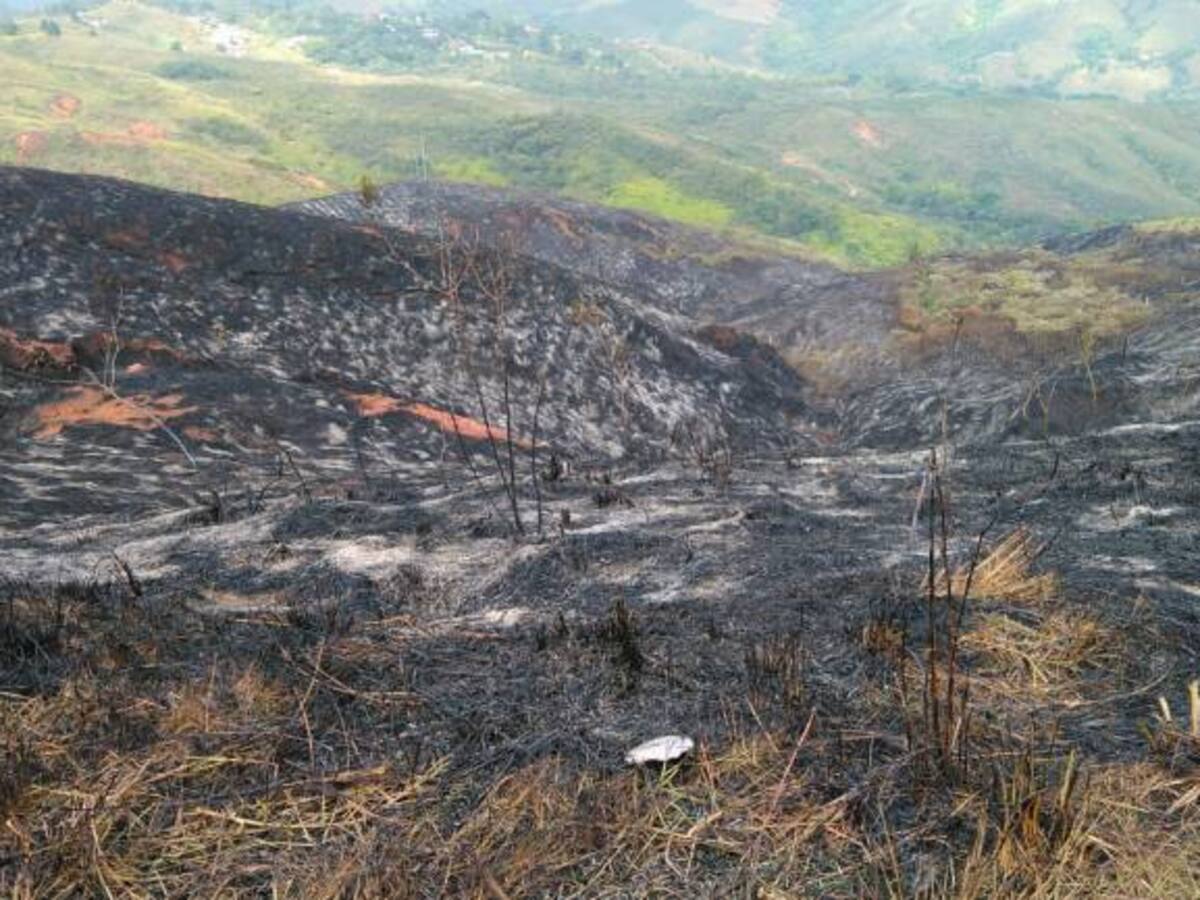El domingo abrazo y solidaridad por cerro de Cristo Rey