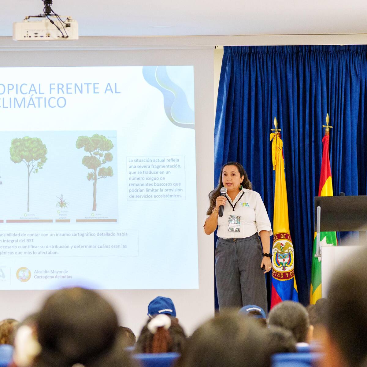 Cartagena cuenta con 46 determinantes ambientales