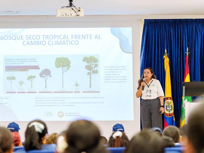 Cartagena cuenta con 46 determinantes ambientales