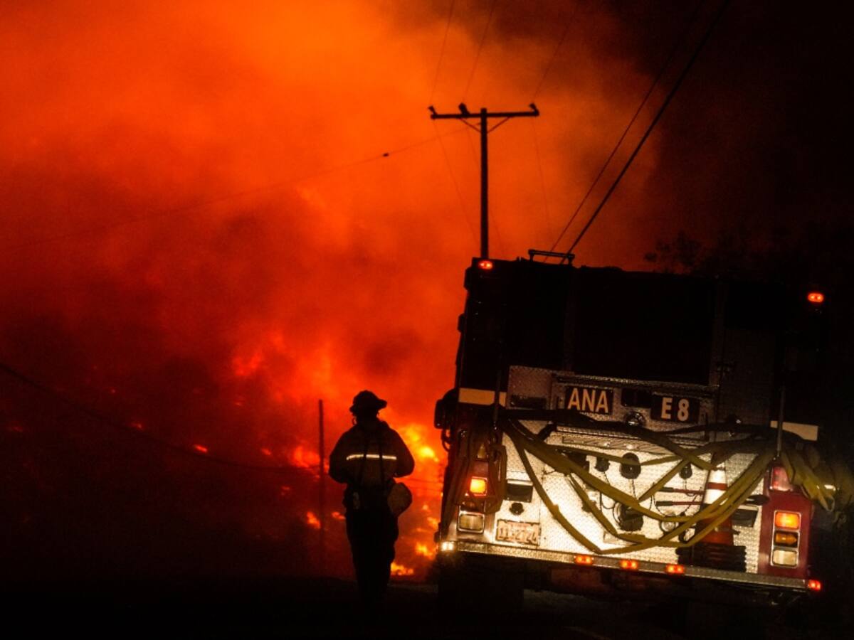 Llamado urgente para evitar incendios forestales