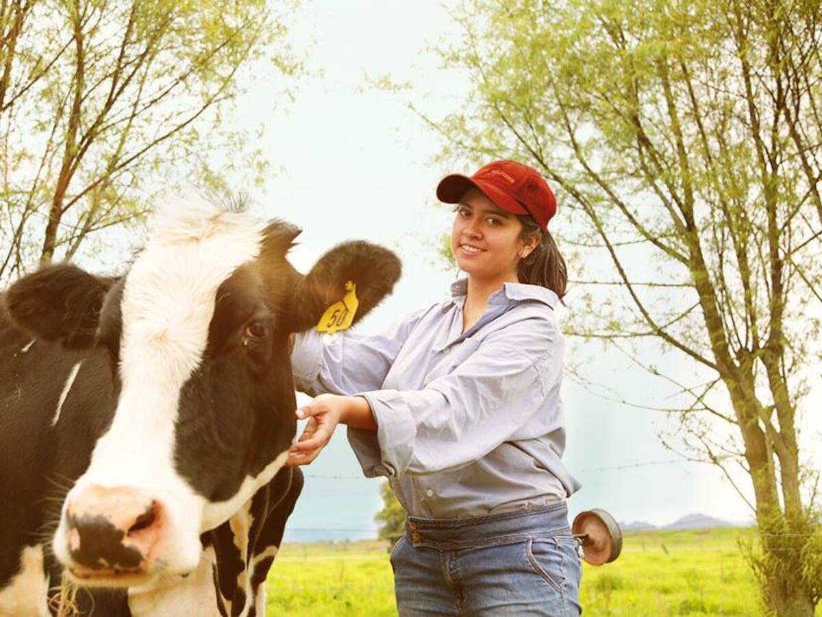 Alquería: primera compañía del sector lácteo en ser ‘Empresa B’ en el país