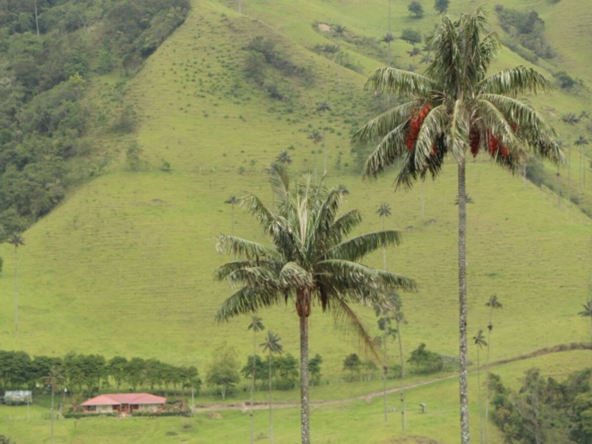 Google también celebra hoy 206 años del grito de independencia de Colombia