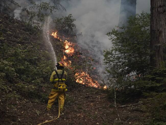 Incendios en California han consumido más de 300.000 hectáreas