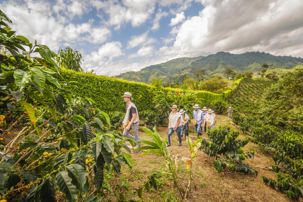 Paisajes que disfrutan los turistas en Risaralda- Imagen de archivo - Gobernación de Risaralda.