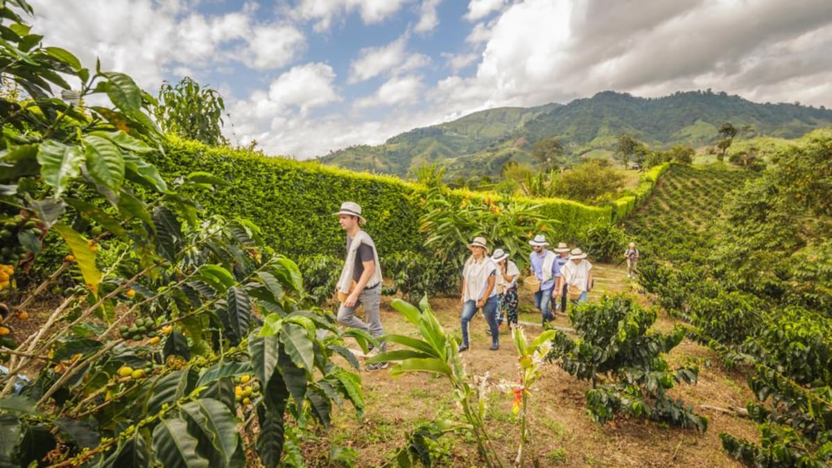 Risaralda recibe la Llave de Oro en hospitalidad durante Expo Cotelco 2023