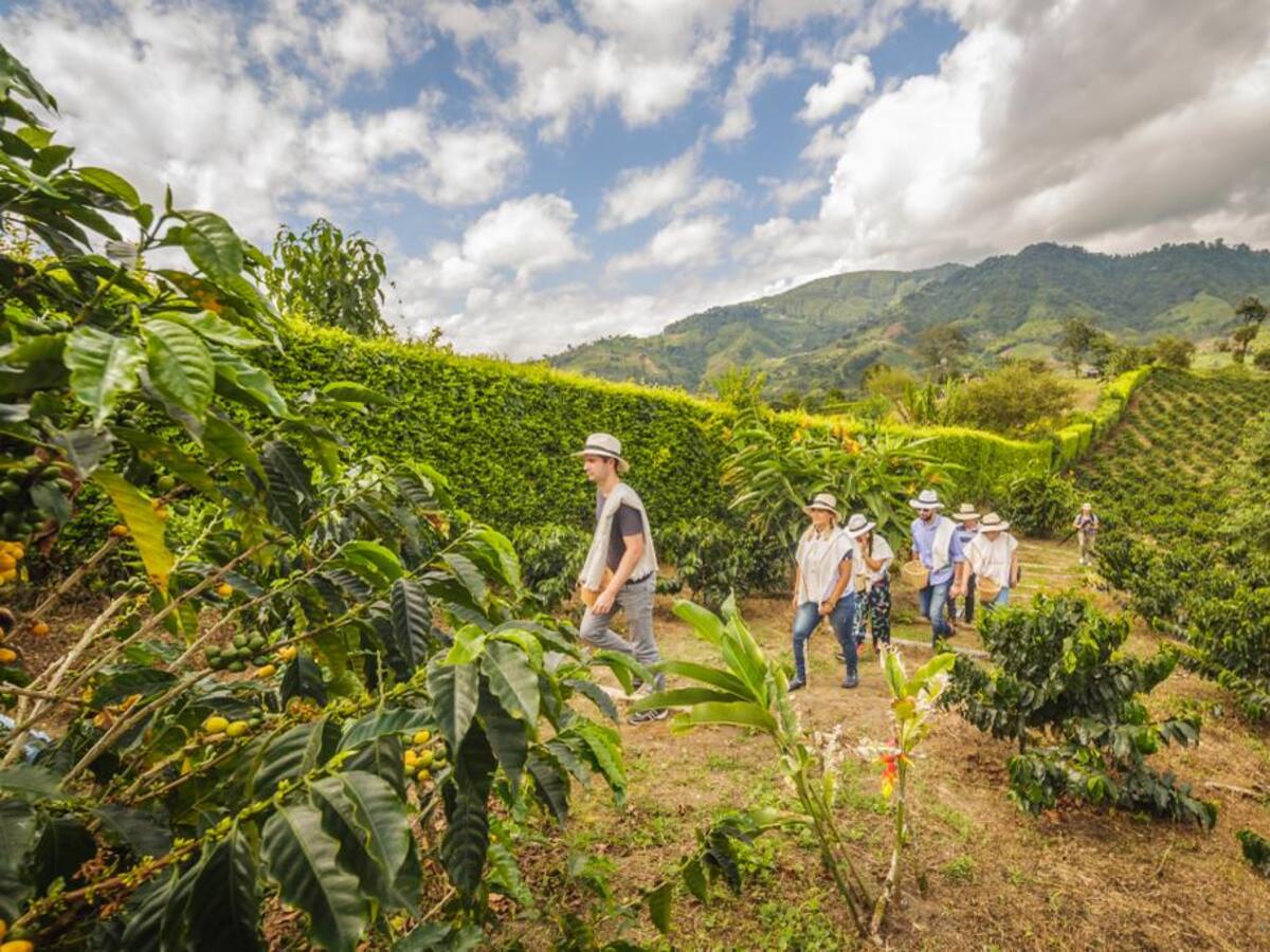 Risaralda recibe la Llave de Oro en hospitalidad durante Expo Cotelco 2023