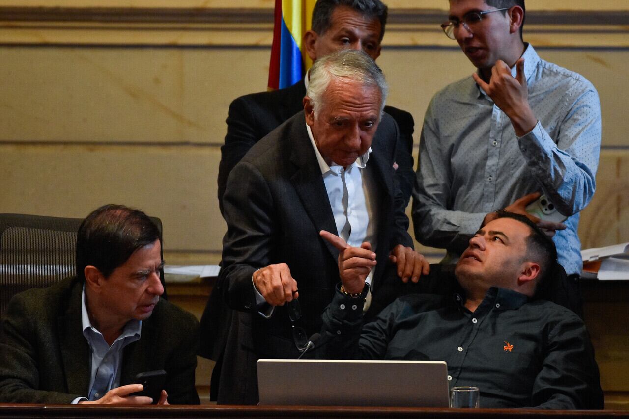 Bogotá. Diciembre 17 de 2024. En la Plenaria de la Cámara de representantes en sesión extraordinaria, se lleva a cabo el debate a la reforma de la salud. (Colprensa - Cristian Bayona).