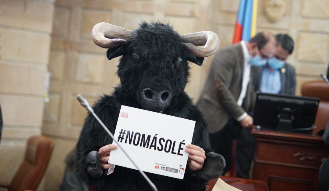 El proyecto que prohibiría las corridas de toros en el país está a la espera de su segundo de cuatro debates requeridos para convertirse en ley