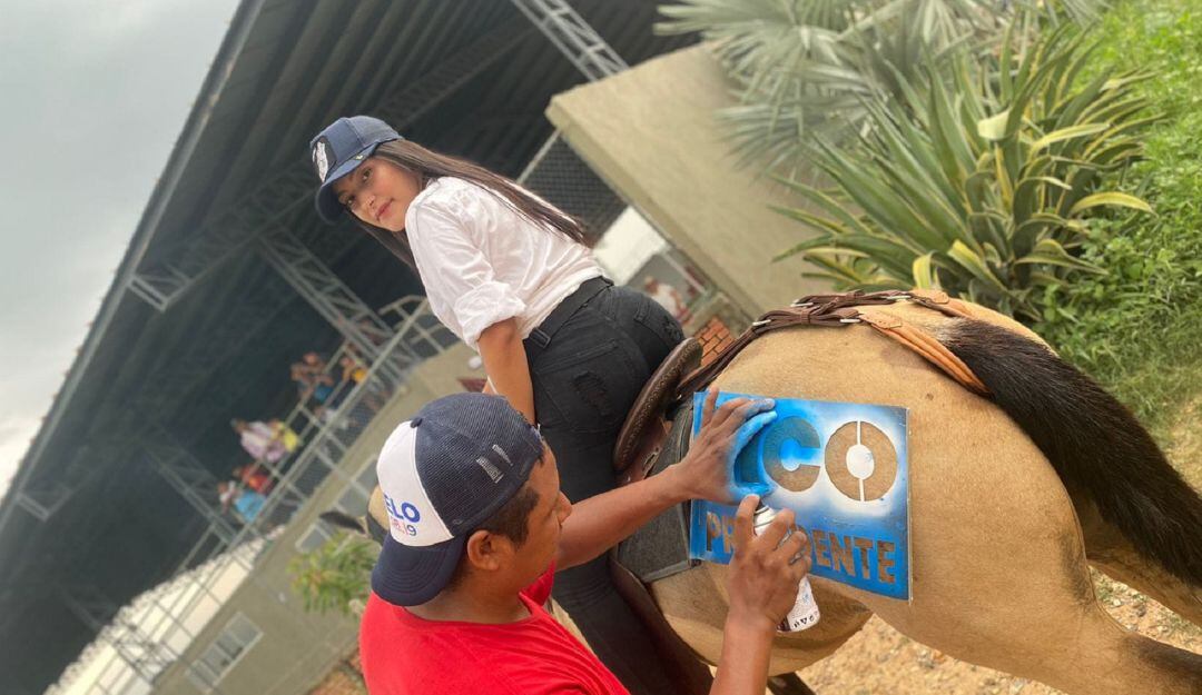 ¿Maltrato animal? Pintan "Fico" en caballos en cabalgata en la Costa