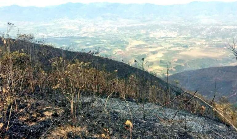 Incendió en el municipio de Ábrego fue controlado