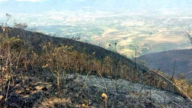 Incendió en el municipio de Ábrego fue controlado