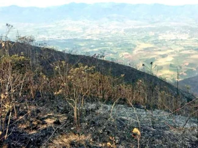 Incendió en el municipio de Ábrego fue controlado