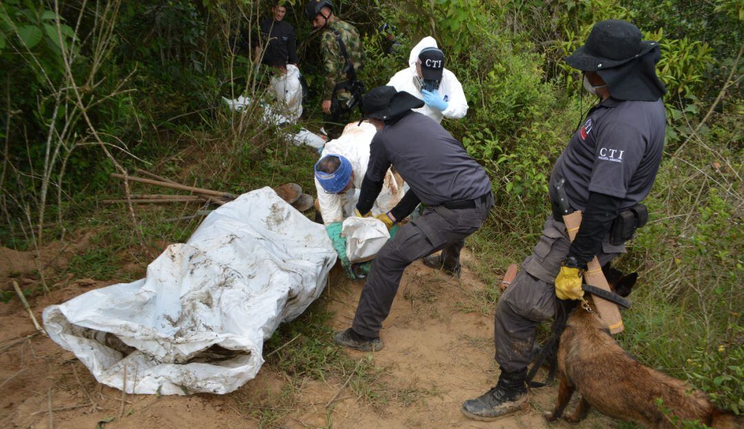 imagen de referencia 