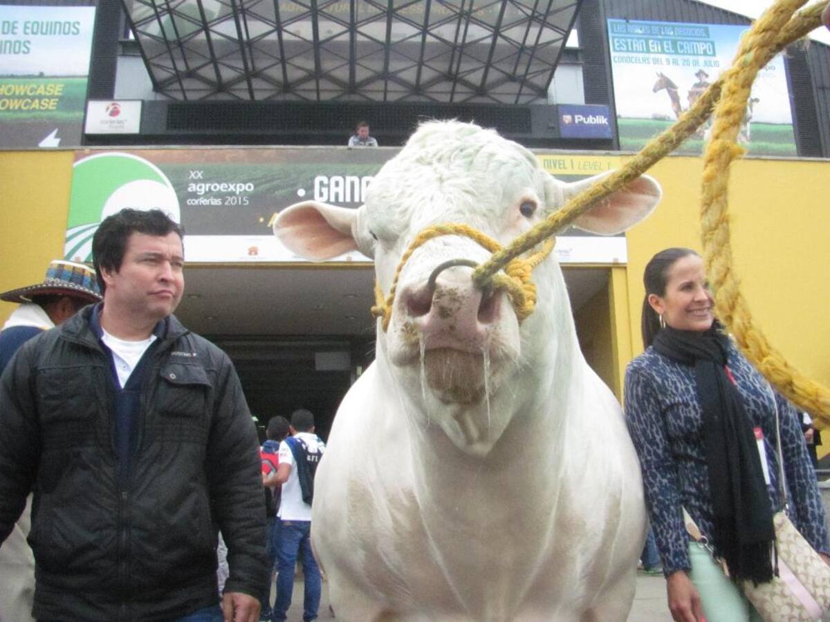 Título de la imagen