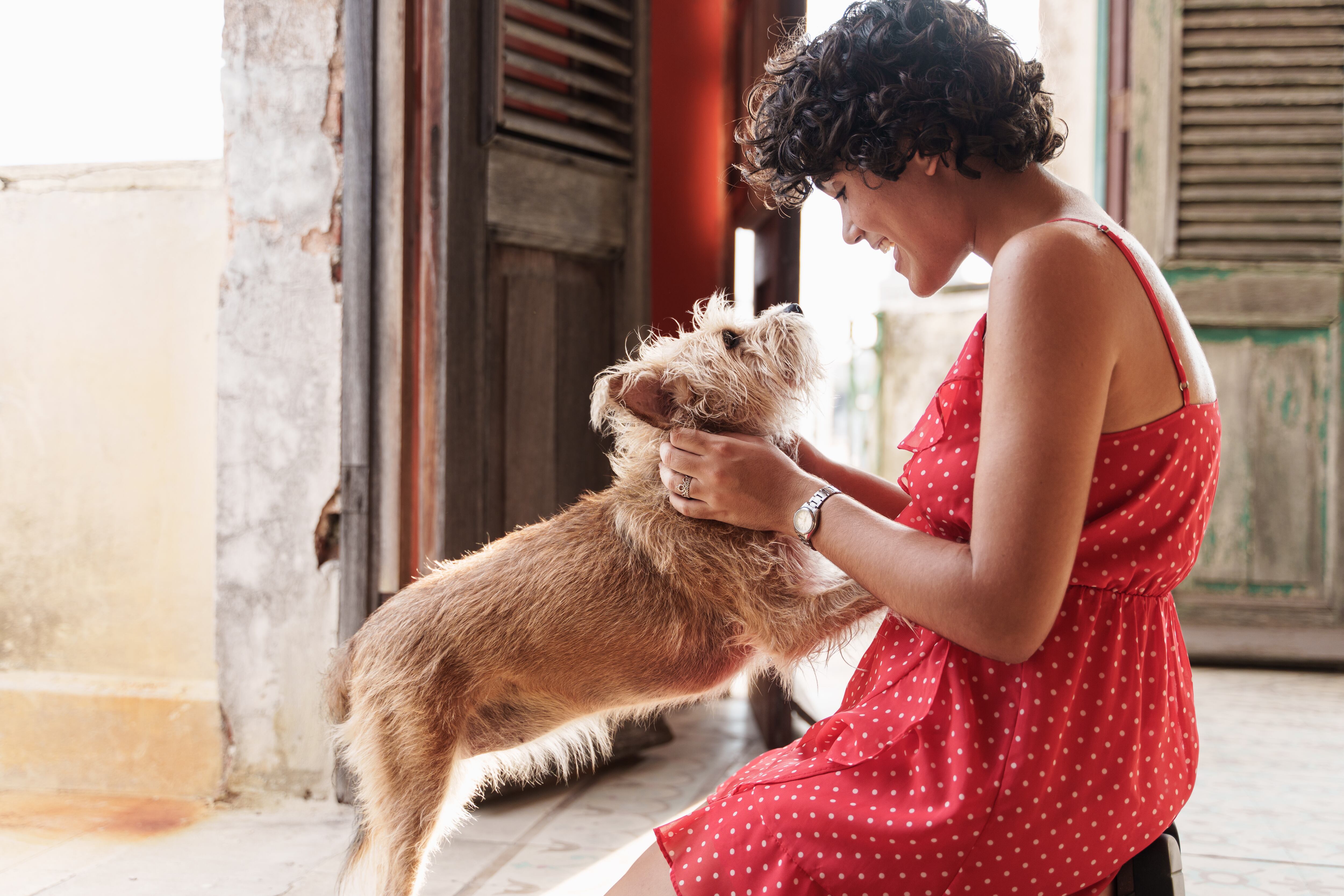 Un perro y una humana observándose mutuamente (Foto vía Getty Images)