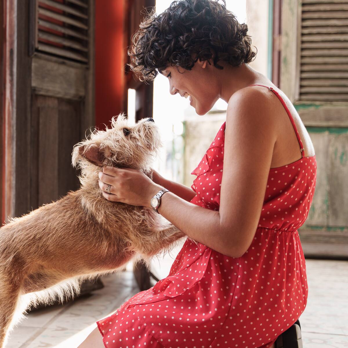 ¿De qué color ven los perros a los humanos? Respuesta científica