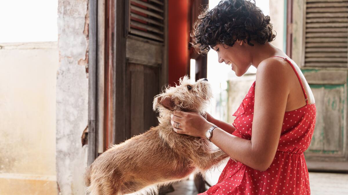 ¿De qué color ven los perros a los humanos? Respuesta científica
