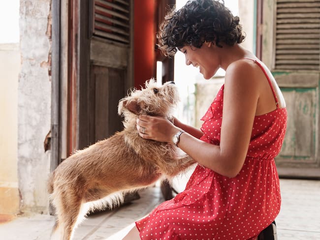 Un perro y una humana observándose mutuamente (Foto vía Getty Images)