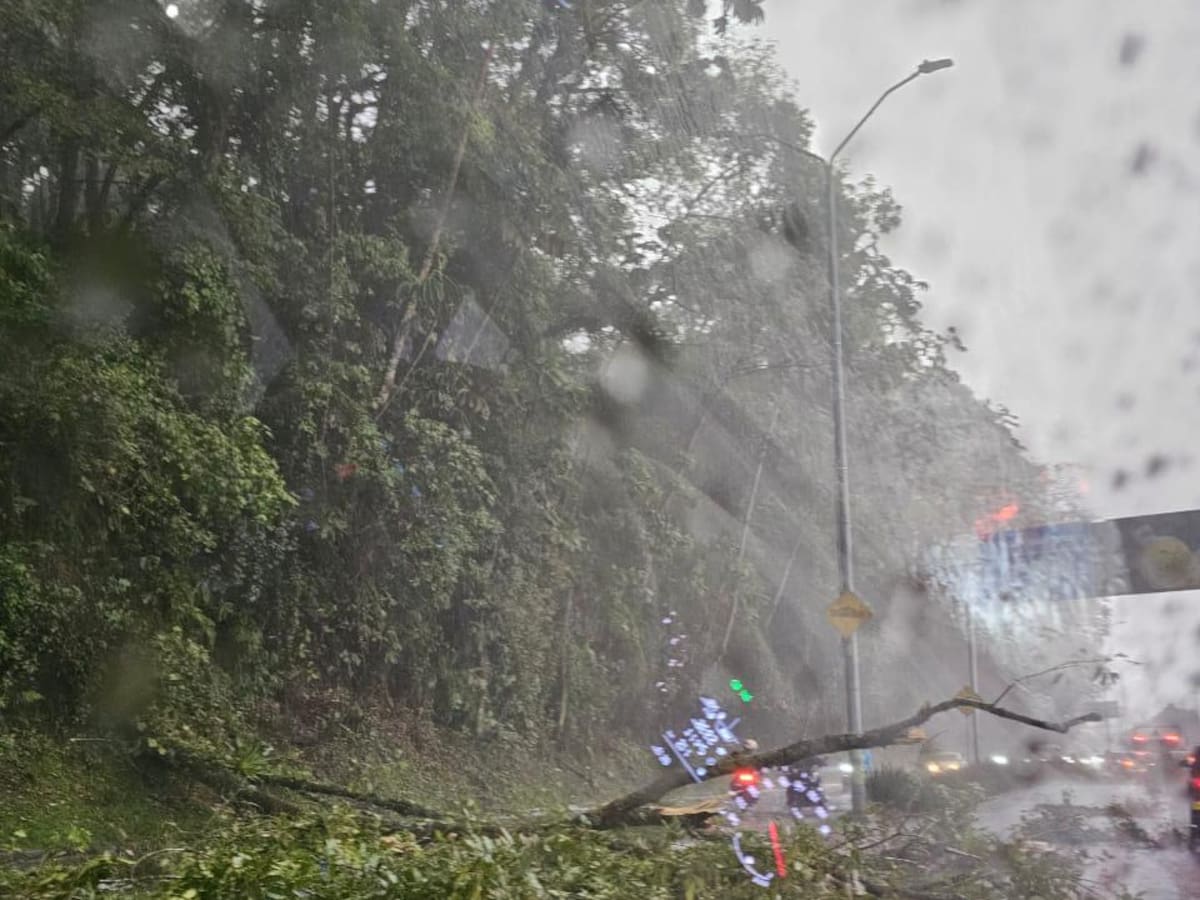Lluvias de las últimas horas generan varias afectaciones en las vías de Manizales