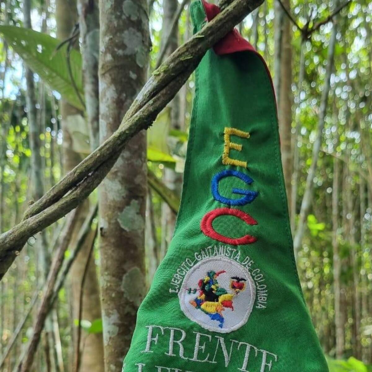 Denuncia: durante el consejo de seguridad en Remedios, el Clan del Golfo reunió a la comunidad