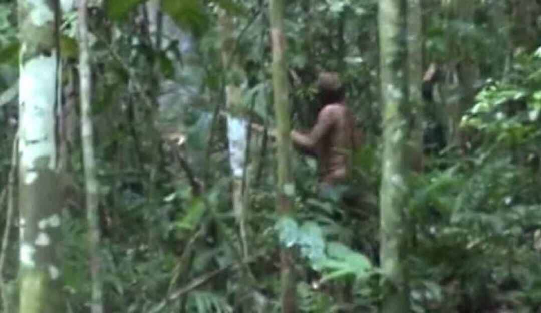 Murió el indígena más aislado de Brasil, último superviviente de su comunidad
