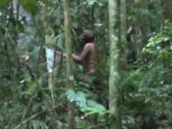 Murió el indígena más aislado de Brasil, último superviviente de su comunidad