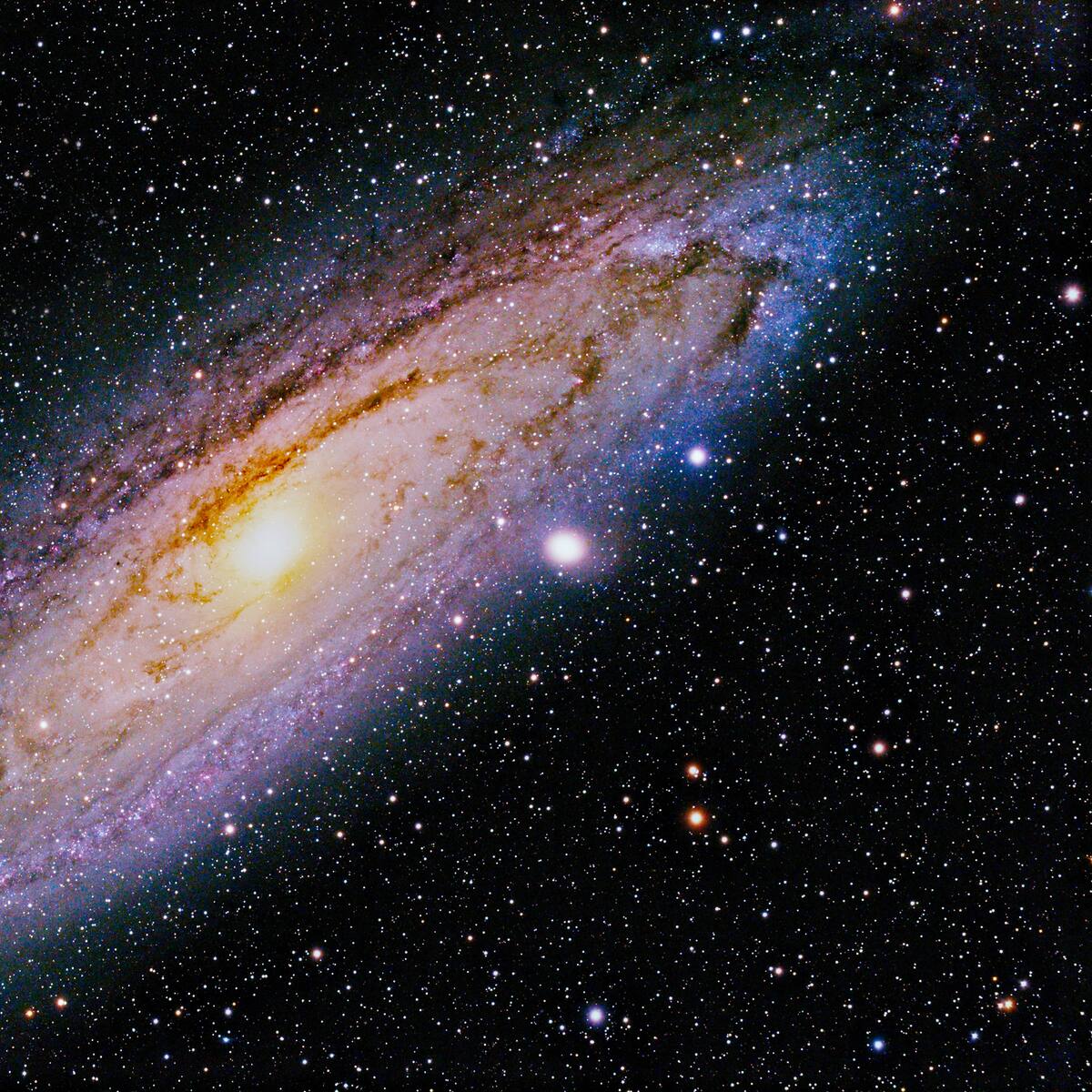 El Telescopio James Webb capturó una galaxia que “no debería” existir