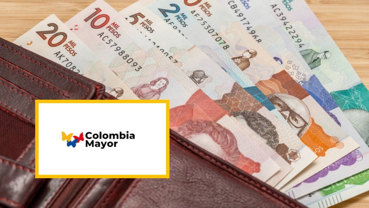 Prosperidad Social le está entregando dinero a 148.573 adultos mayores en Antioquia